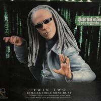 Set matrix mezzi busti