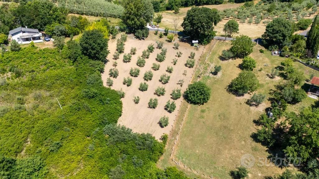 Terreno di 5330 m² a Salisano - Vista 2