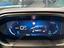 Immagine 13