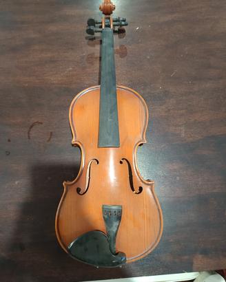 Violino