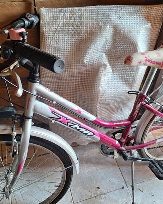 bici e auto 
