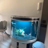 Acquario panoramico 300L completo