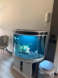 Acquario panoramico 300L completo
