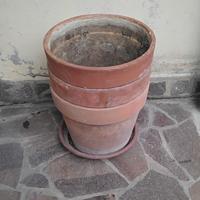 vasi di terracotta 