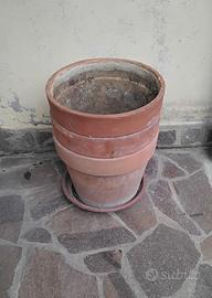 vasi di terracotta 