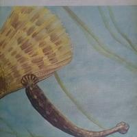 Hirudinea - Fauna d'Italia vol. XV