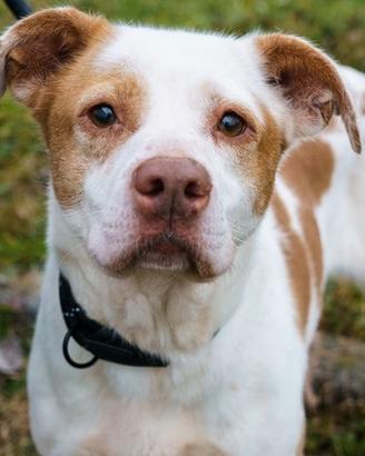 ZOIA sono tanto buona