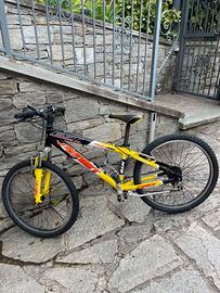 Bicicletta