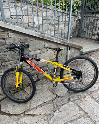 Bicicletta