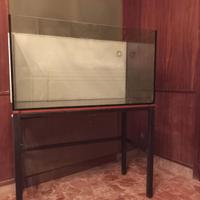 Aquario 330 L con supporto in ferro