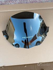 Paravento fumè peugeot geopolis