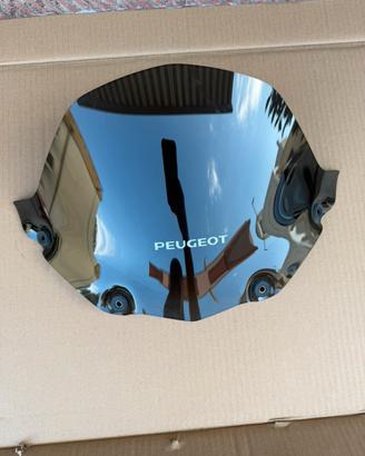 Paravento fumè peugeot geopolis