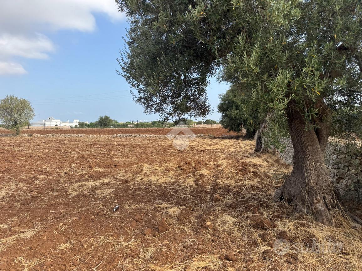 TER. AGRICOLO A POLIGNANO A MARE - Vista 5