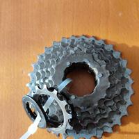 Cassetta Pignoni 7 velocità 13-30