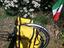Immagine 3