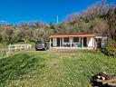 fosdinovo-7000-mq-uliveto-e-vigneto