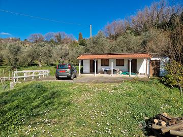Fosdinovo 7000 mq uliveto e vigneto
