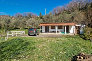 Fosdinovo 7000 mq uliveto e vigneto