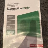 Libro Matematica.verde