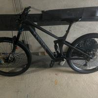 Canyon strive CFR underdog