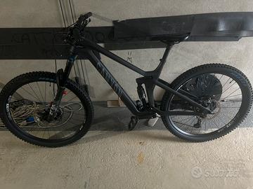 Canyon strive CFR underdog