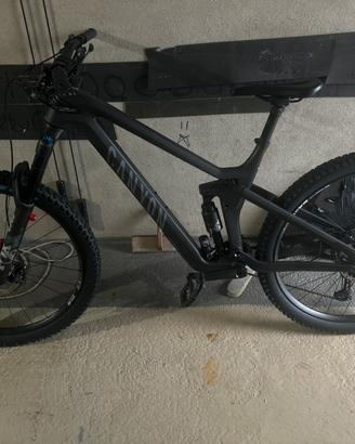 Canyon strive CFR underdog