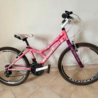 Bicicletta mountain bike 24”