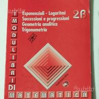 I Modulibri di Matematica - 2B
