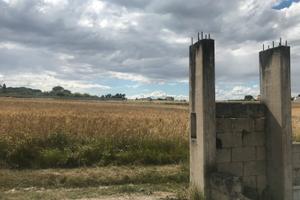 Terreno agricolo zona guardialto piccolo