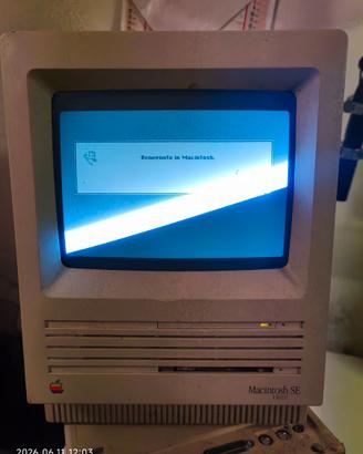 Apple vintage