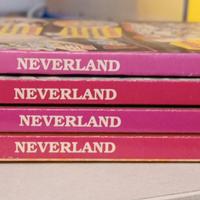 Caro Fratello – Volumi 1-4 – Manga Italiano