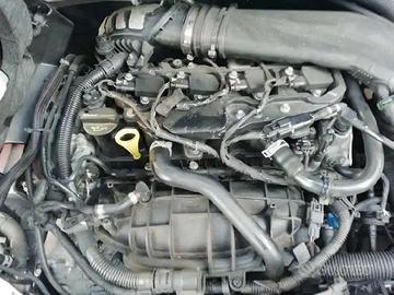 Ford focus 2013 - JQDA