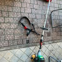 Decespugliatore Papillon 43 cc. Kombi