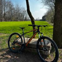 Mtb Scott Aspect
