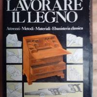 Ernest Scott - Legno  Zanichelli