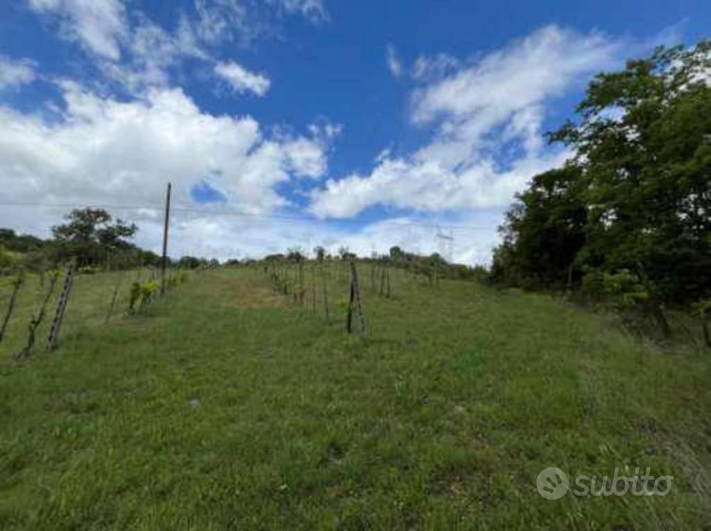 Immobile in asta di 10430 m² a San Venanzo - Vista 2
