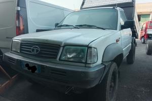 PickUp con ribaltabile elettrico 