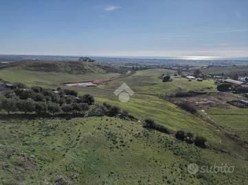 TER. AGRICOLO A CERVETERI