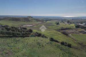 TER. AGRICOLO A CERVETERI