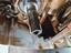 Immagine 17
