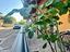 Immagine 26