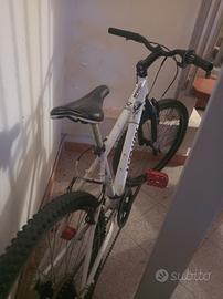 bici ragazzo 