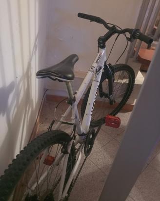 bici ragazzo 