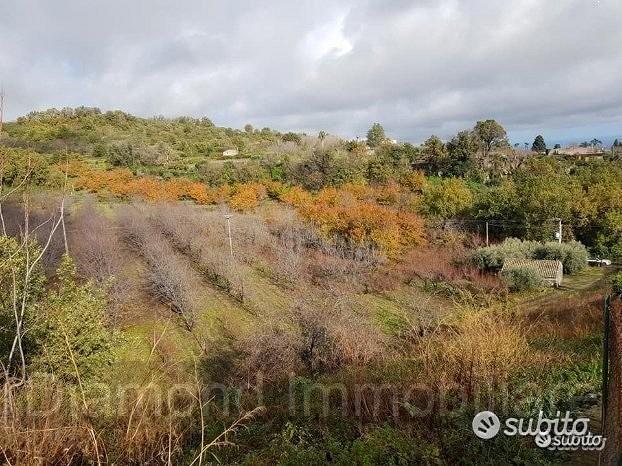 Terreno 5 ettari con fabbricato Piedimonte Etneo - Vista 4