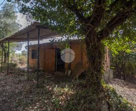 CASA INDIPENDENTE A PALOMBARA SABINA