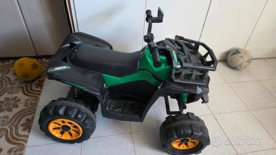 quad elettrico 