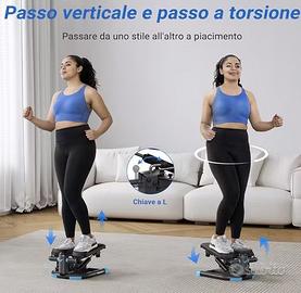 Stepper Fitness 2 in 1