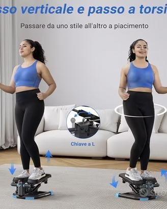 Stepper Fitness 2 in 1