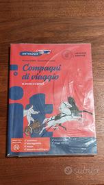 medie - letteratura - compagni di viaggio (1,2,3)