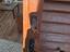 Immagine 2